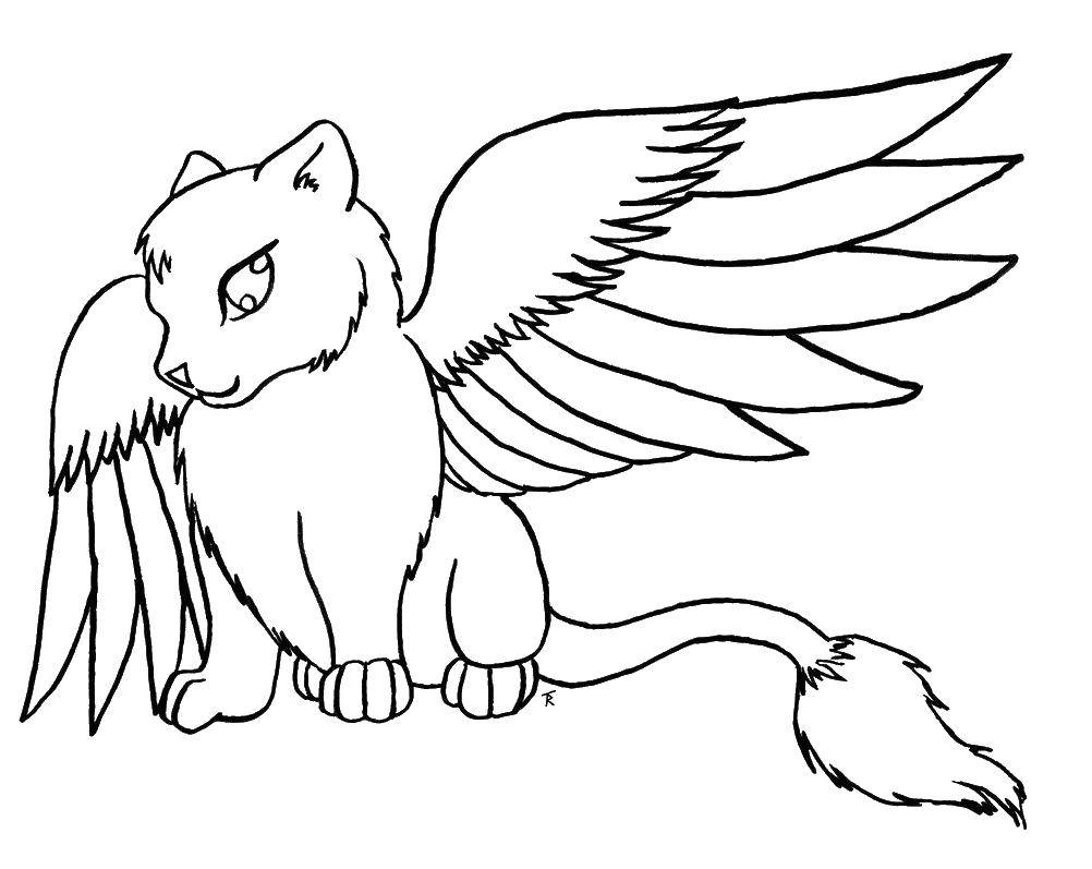 Coloring Cat with wings. Category Animals. Tags:  animals, winged cat.