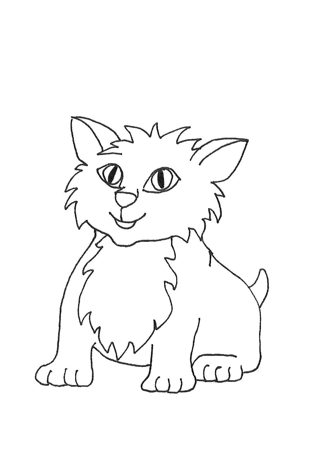 Coloring Cat. Category Cats and kittens. Tags:  animals, kitten, cat.