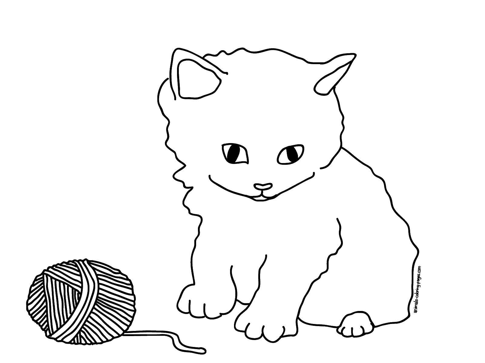 Название: Раскраска Котенок с клубком. Категория: Коты и котята. Теги: животные, котенок.