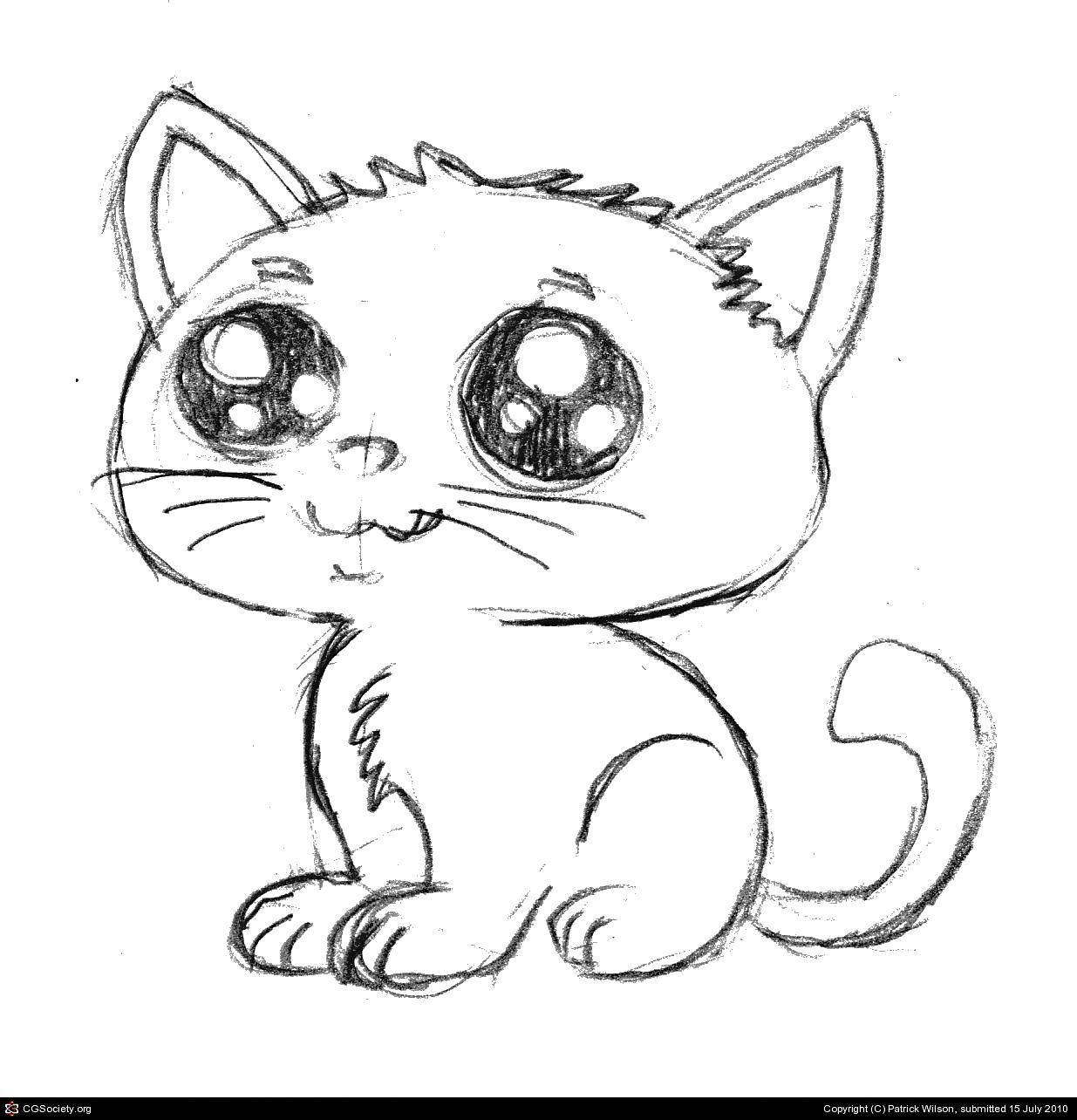 Картинки для срисовки милые и легкие карандашом. Котик рисунок карандашом для срисовки. Рисунок кота карандашом для срисовки. Милые котята для срисовки карандашом. Рисунки котиков для срисовки карандашом.