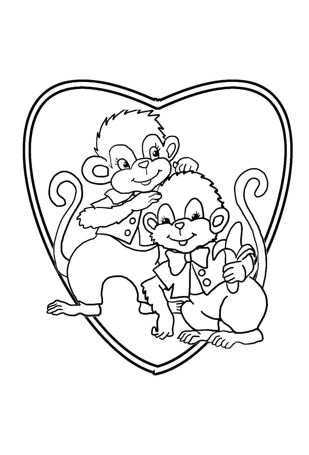 Coloring Monkeys on the background of hearts. Category Animals. Tags:  animals, monkey, heart.