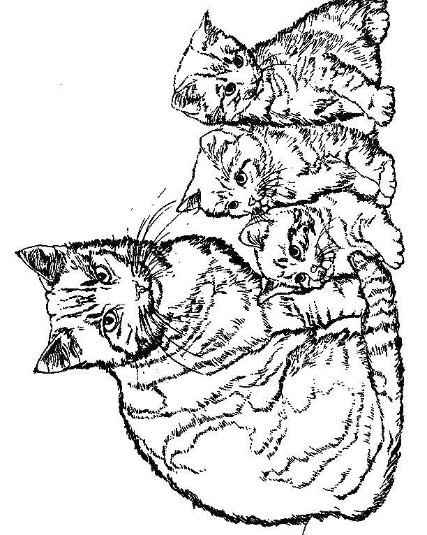 Название: Раскраска Кошка с котятами. Категория: Коты и котята. Теги: животные, котята, кошка.