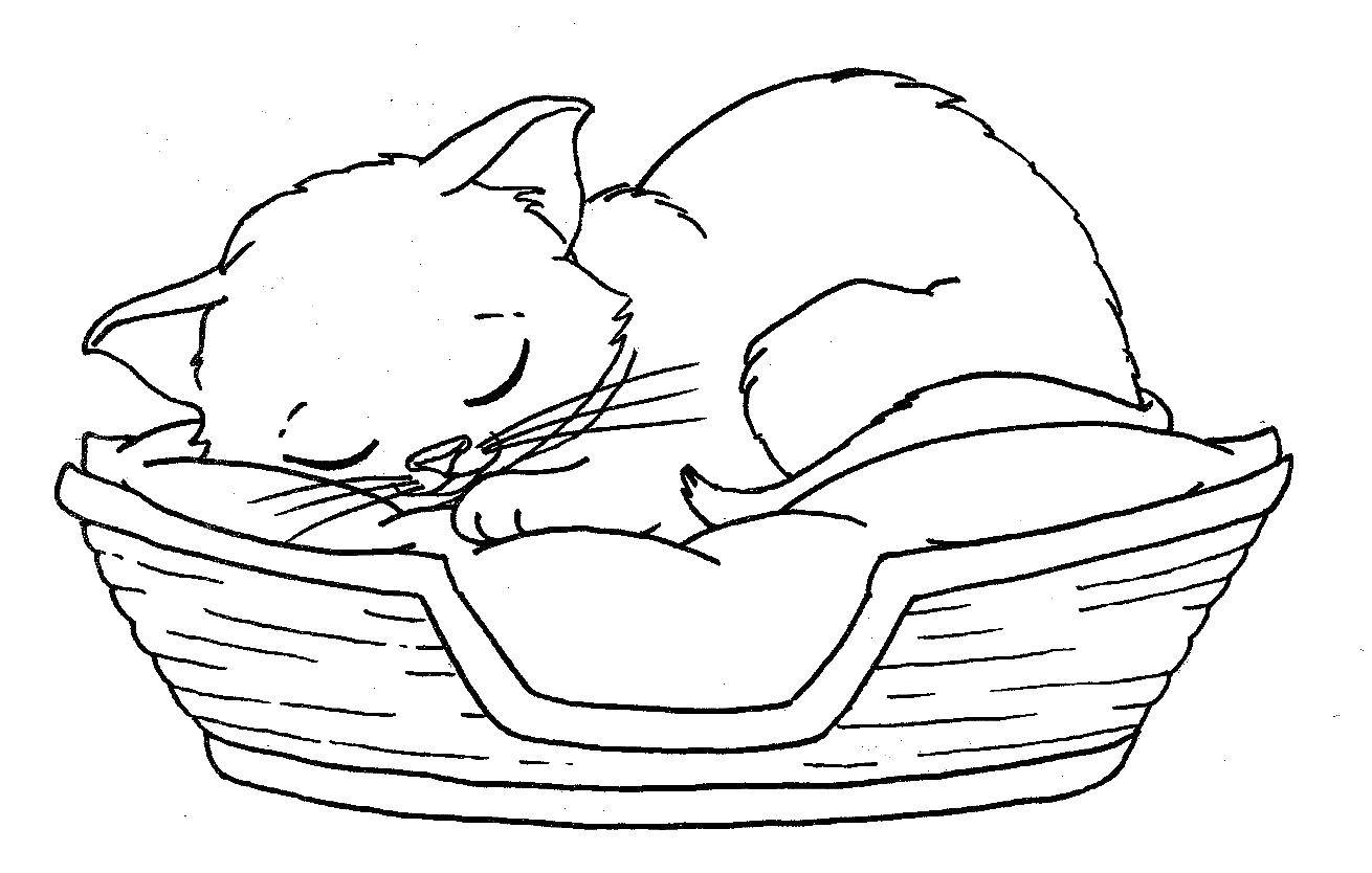 Название: Раскраска Кошка спит в корзинке. Категория: Коты и котята. Теги: животные, котенок, кошка.