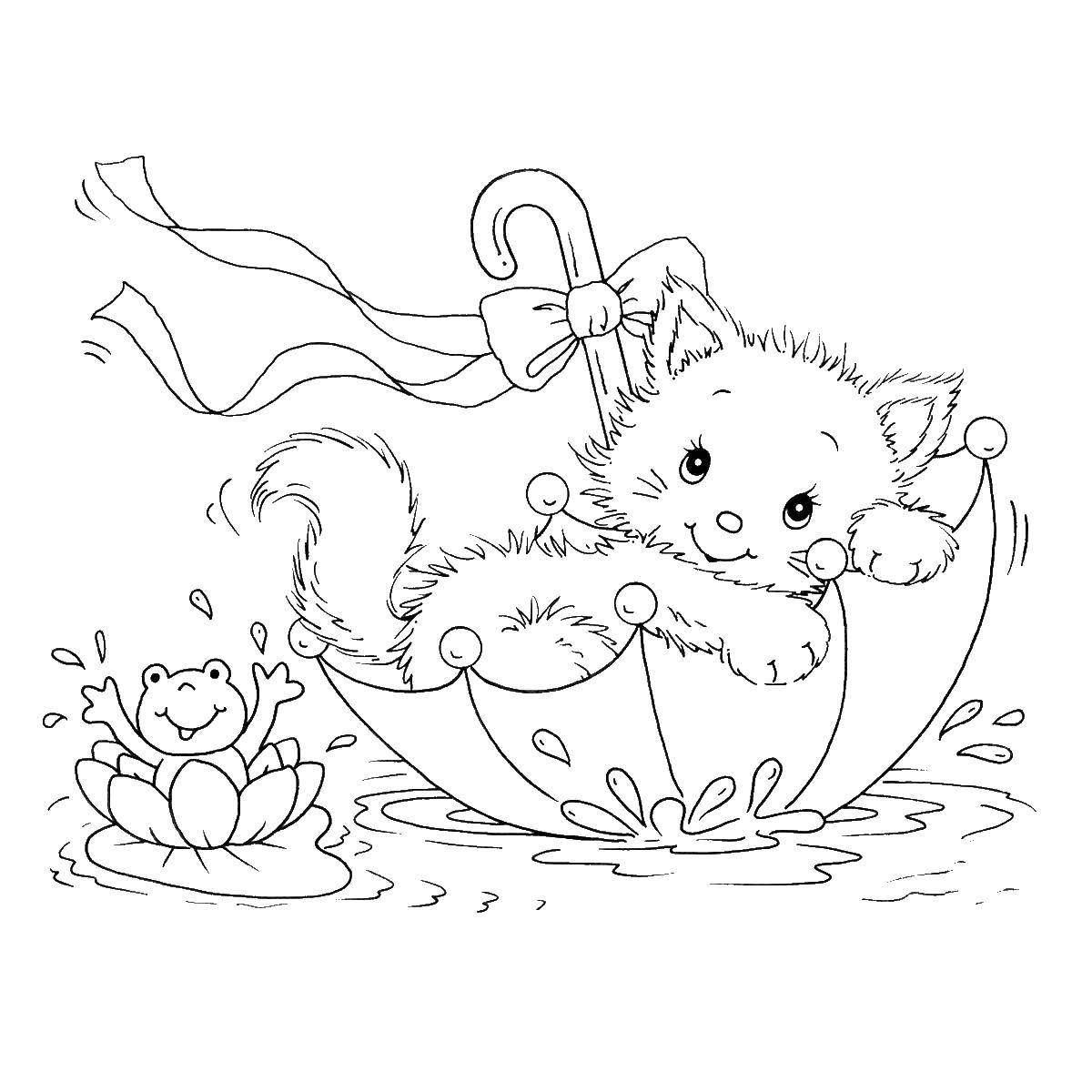 Название: Раскраска Котенок в зонтике и лягушка. Категория: Животные. Теги: животные, котенок, лягушка.