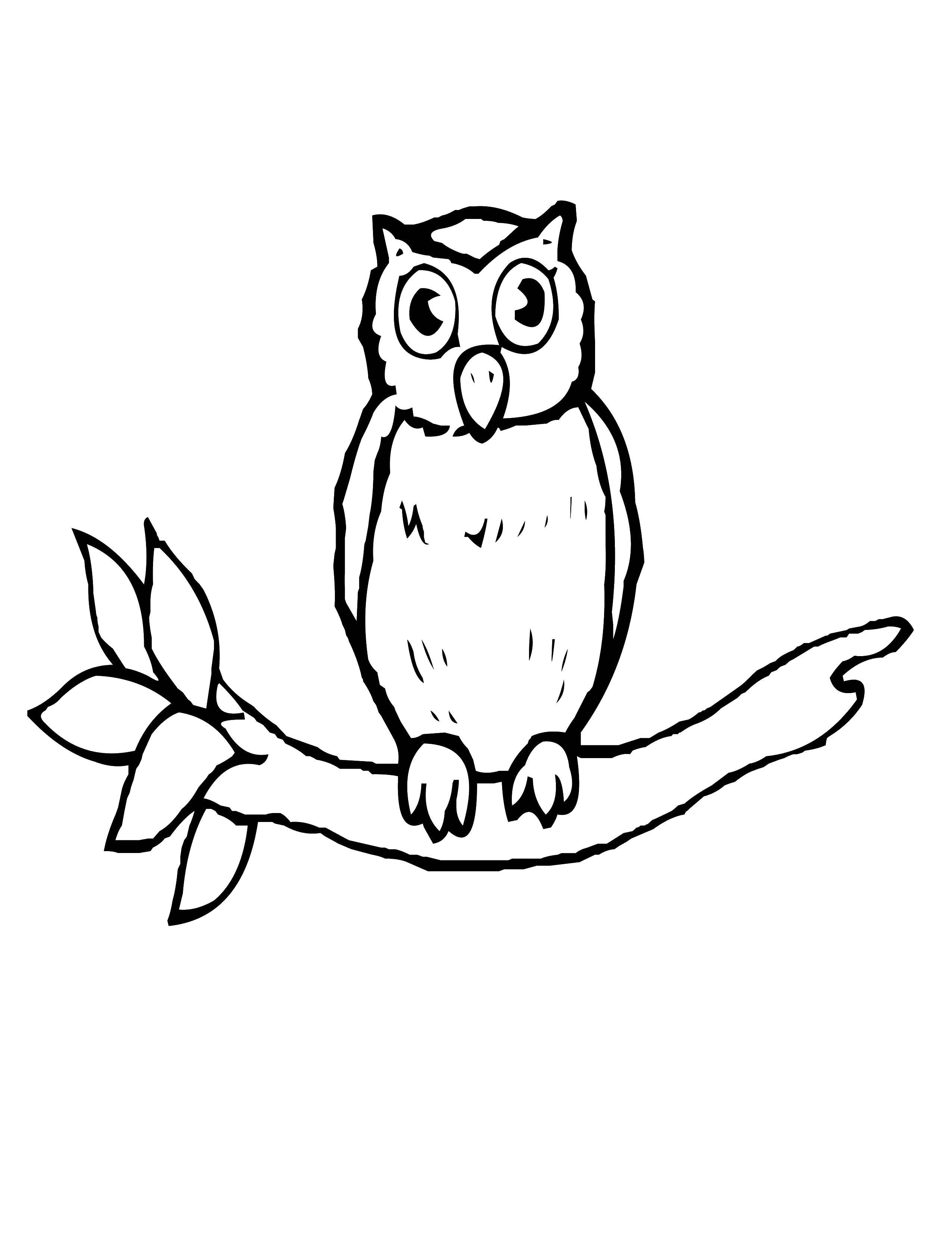 Coloring Owl on the branch. Category Animals. Tags:  animals, owl, bird.