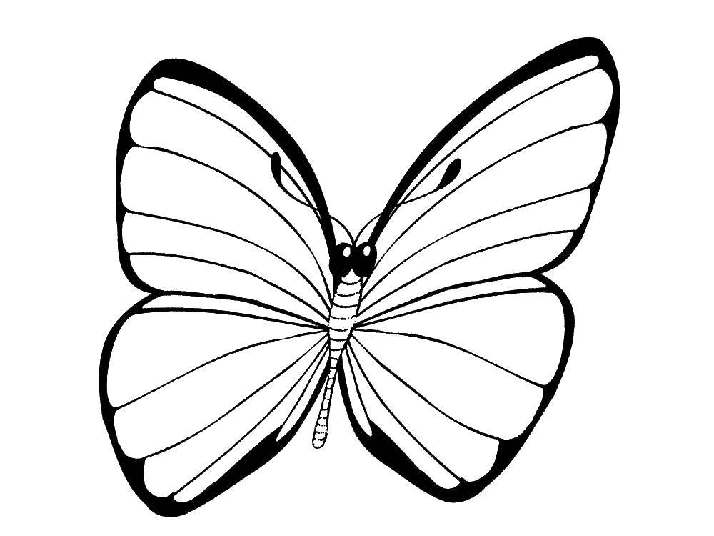 Coloring Butterfly. Category Insects. Tags:  butterfly.