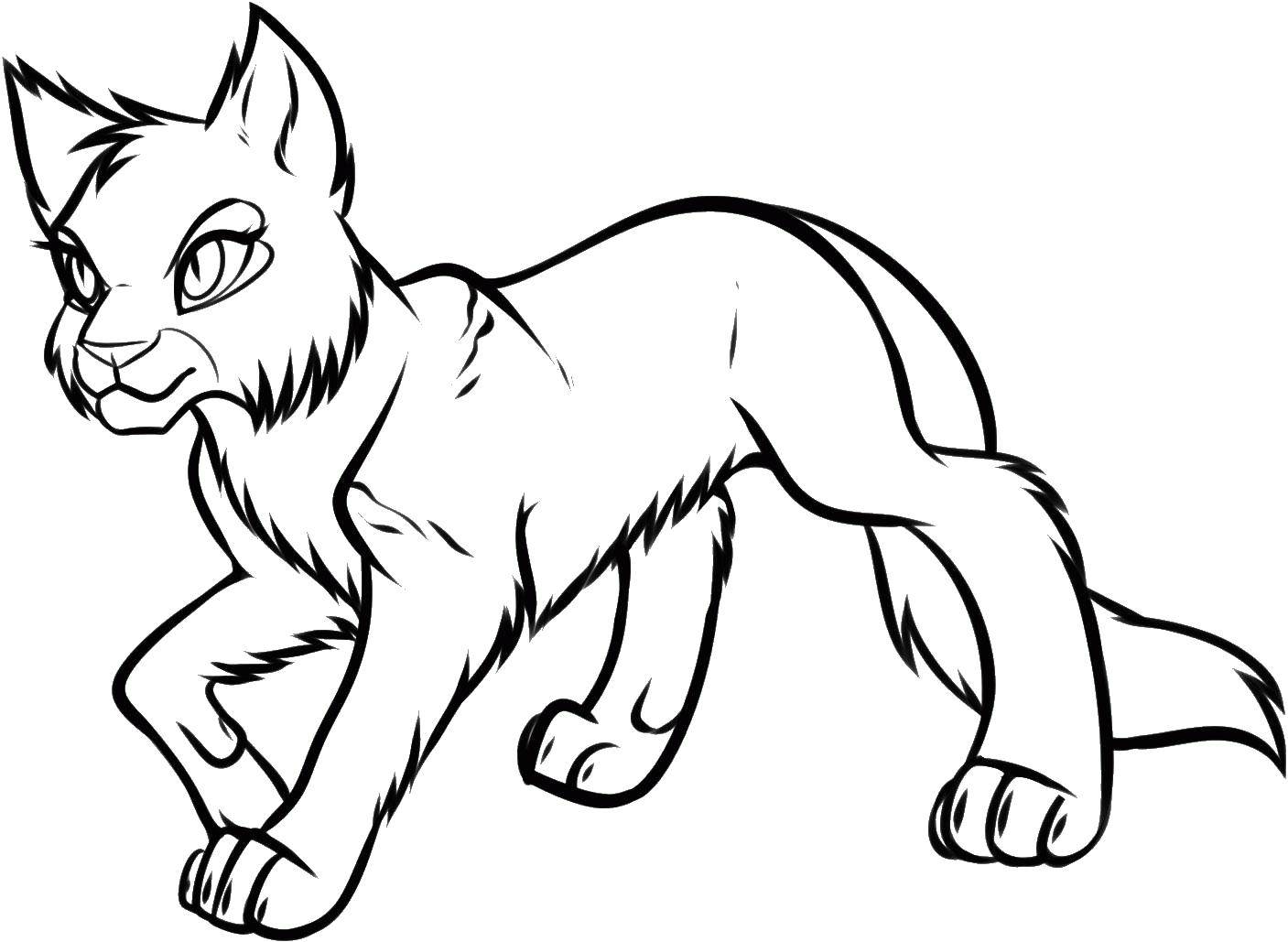Coloring Predatory cat. Category Cats and kittens. Tags:  animals, cat, predator.