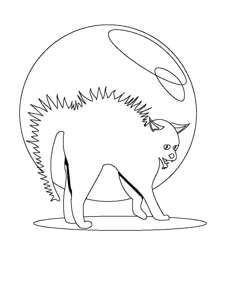 Название: Раскраска Испуганный кот. Категория: Коты и котята. Теги: животные, котенок, кошка, испуг.