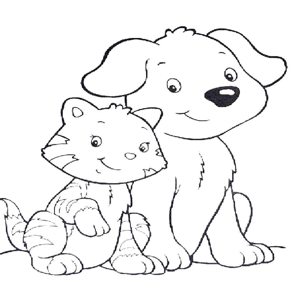 Coloring Kitten and puppy. Category Animals. Tags:  animals, cat, dog, puppy, kitten.