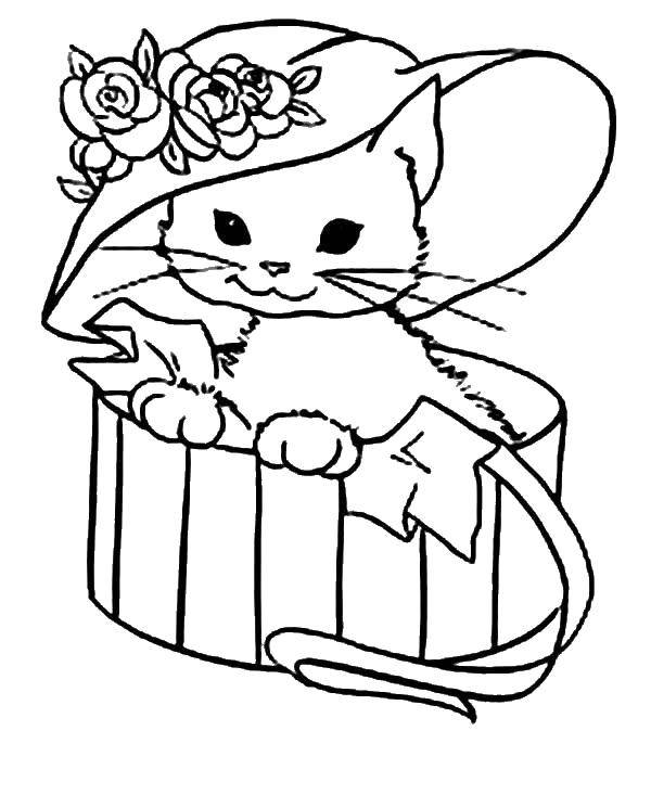Название: Раскраска Котенок в шляпе. Категория: Коты и котята. Теги: животные, котенок, кошка.