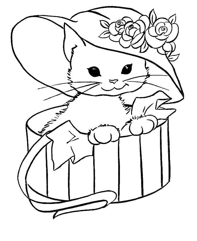 Coloring Kitten in a hat. Category Cats and kittens. Tags:  animals, kitten, cat, hat.