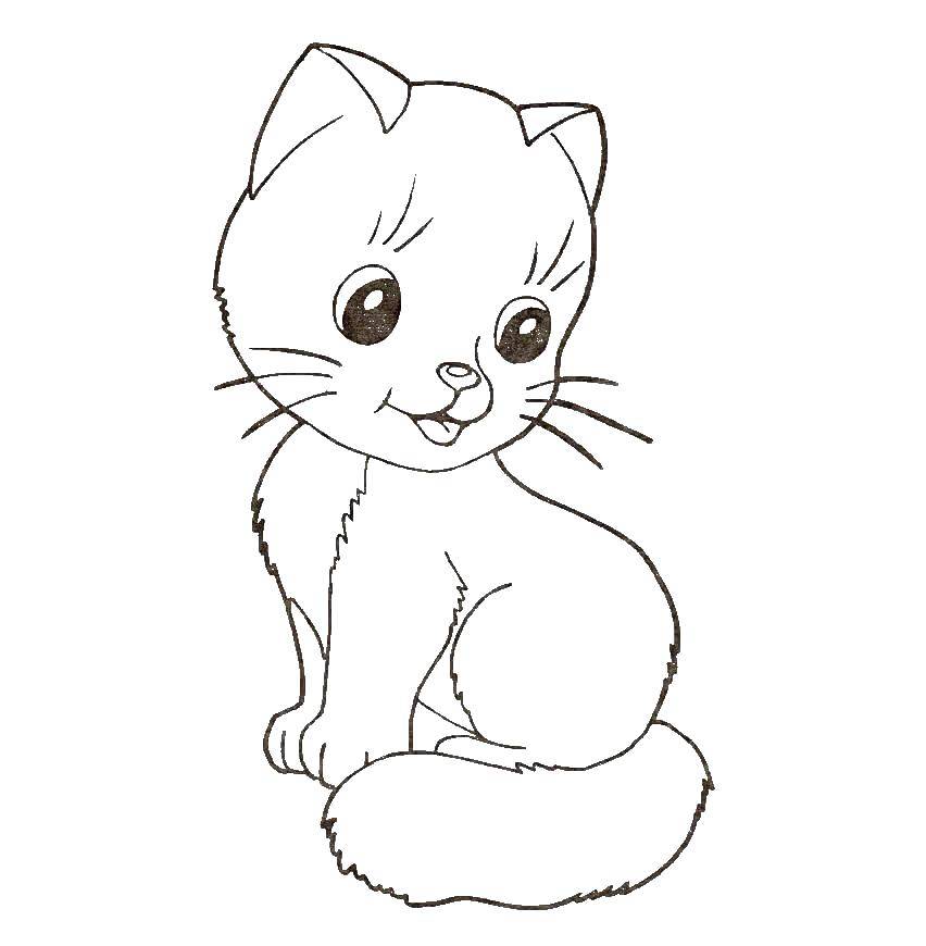 Coloring Cute kitty. Category Cats and kittens. Tags:  animals, kitten, cat.