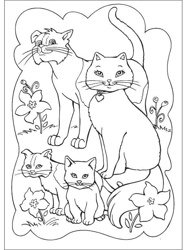 Название: Раскраска Семейство кошек. Категория: Коты и котята. Теги: животные, котята, кошка, кот.