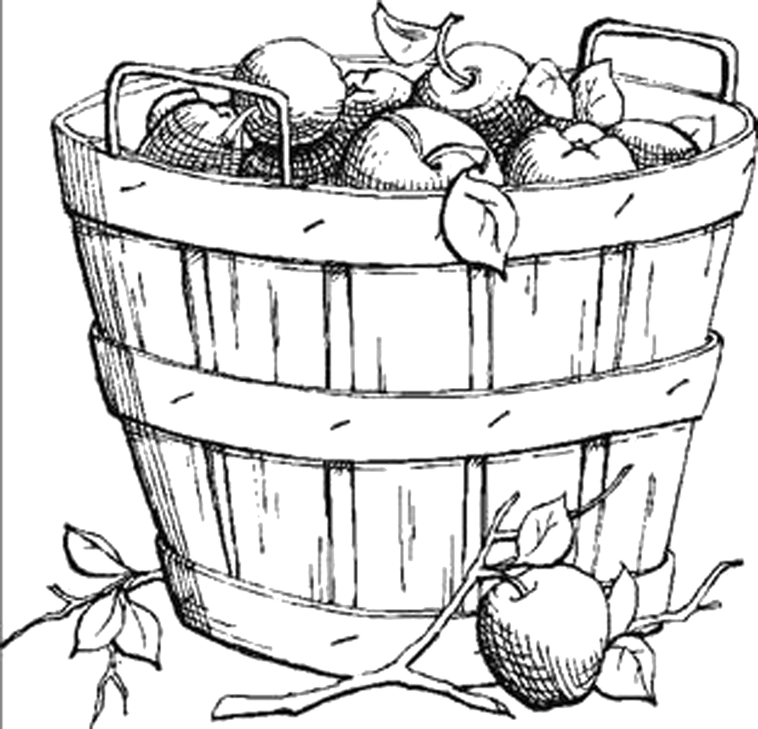 Coloring The bucket of apples. Category fruits. Tags:  fruit, Apple.
