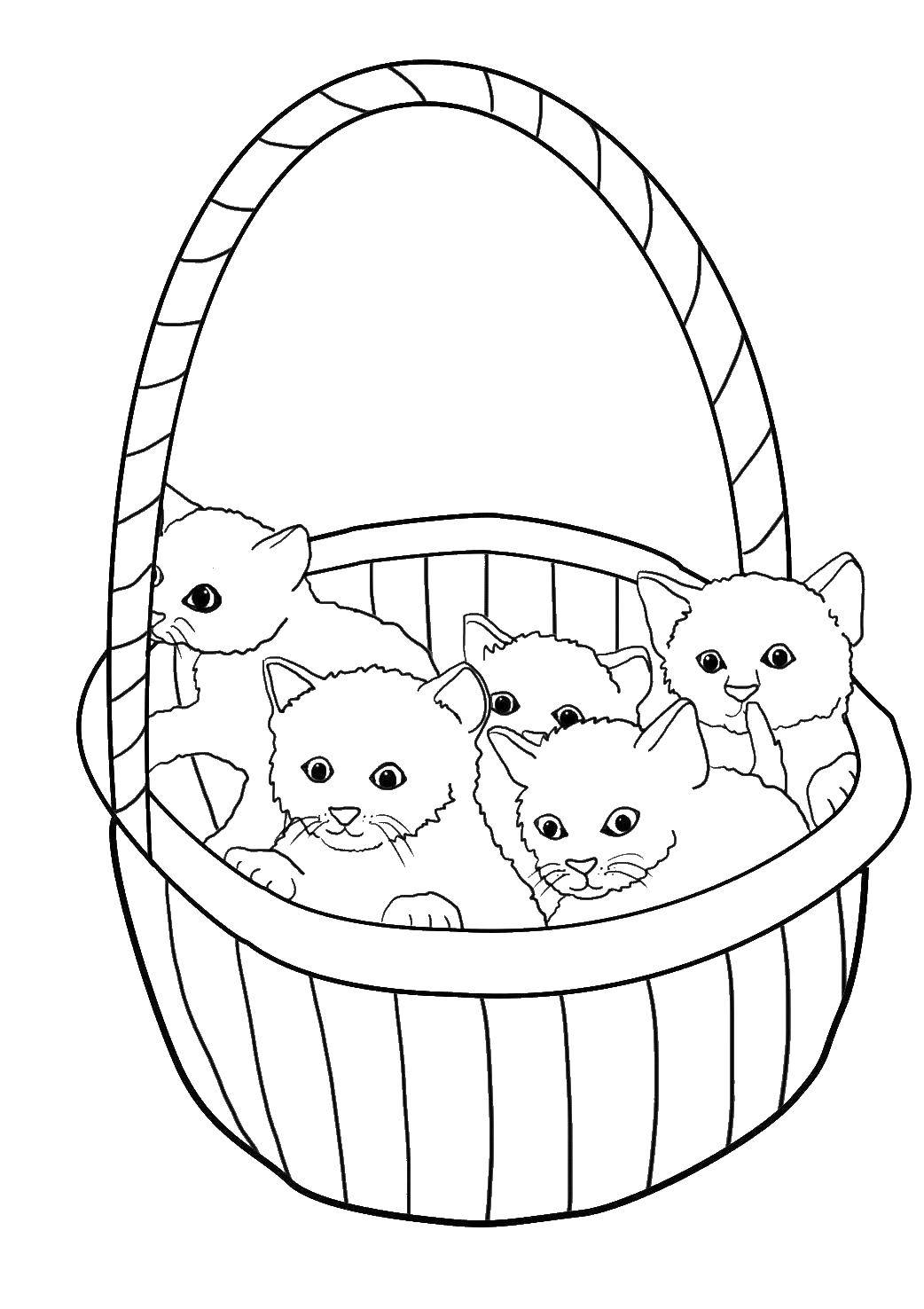 Название: Раскраска Корзинка с котятами. Категория: Коты и котята. Теги: Животные, котята, корзинка.
