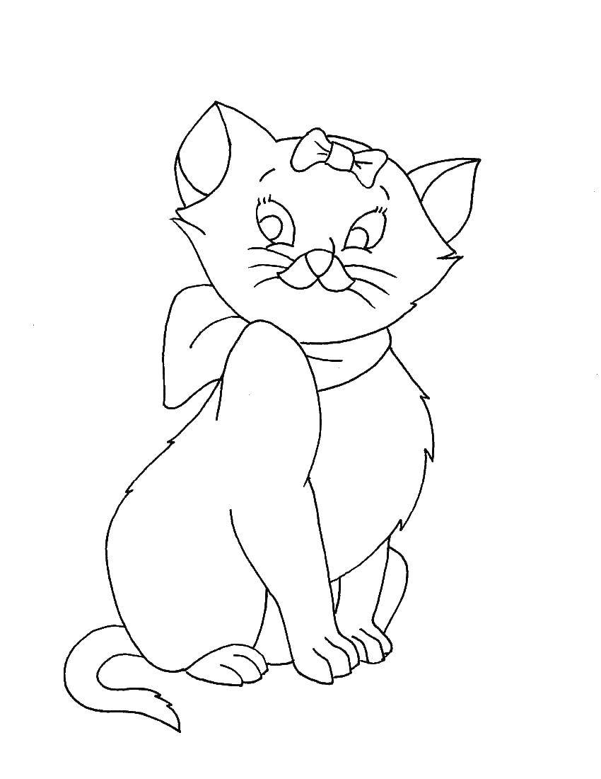 Название: Раскраска Кошка с бантиком. Категория: Коты и котята. Теги: животные, котенок, кошка.