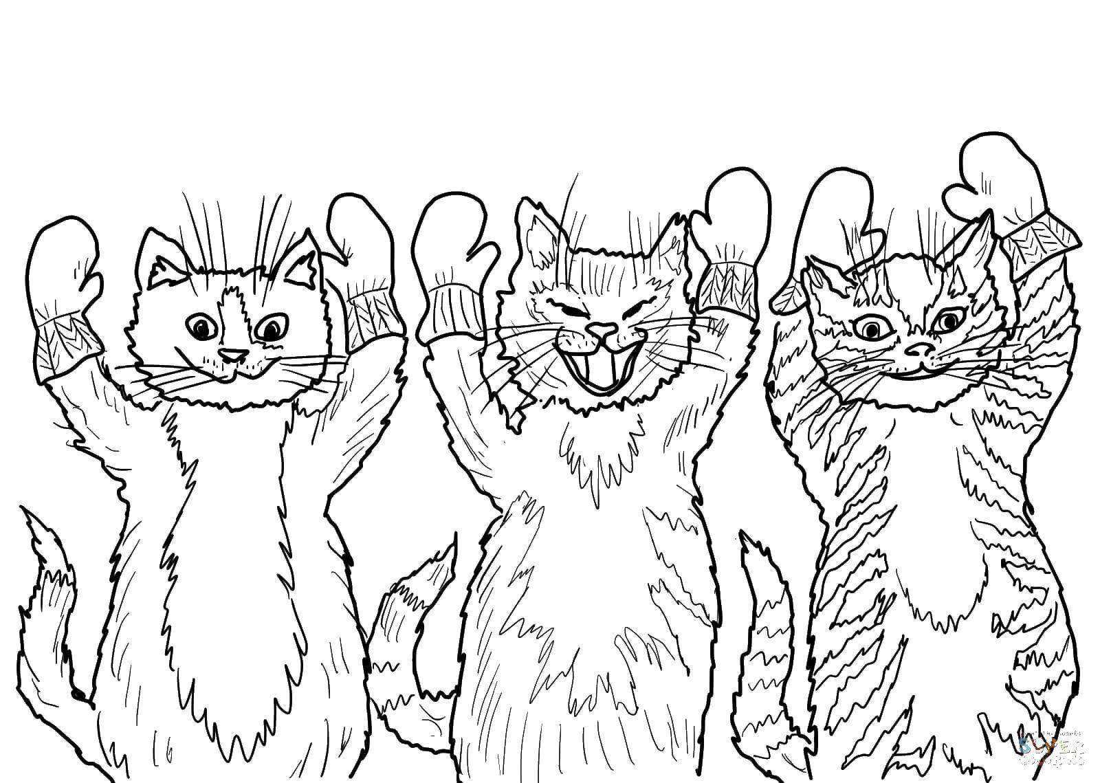 Online Coloring Pages Coloring Kittens In Mittens Coloring