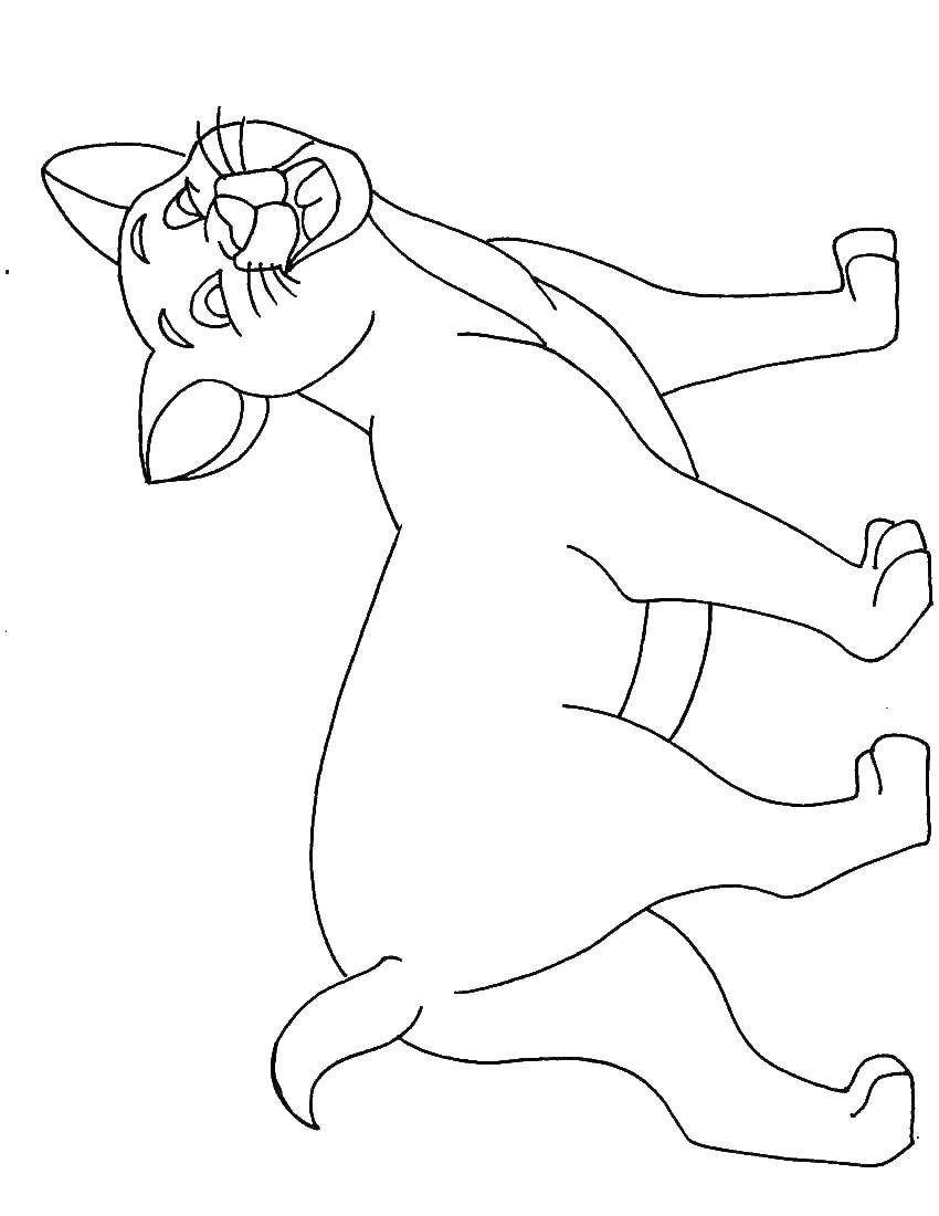 Coloring The cheerful cat. Category Cats and kittens. Tags:  animals, kitten, cat.