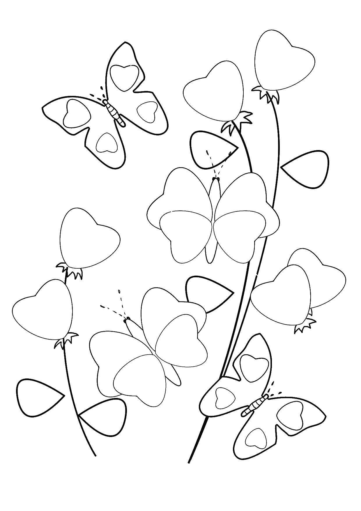 Coloring Butterflies and hearts. Category butterflies. Tags:  Butterfly, heart.