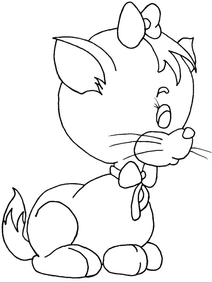 Название: Раскраска Кошечка с бантиком. Категория: Коты и котята. Теги: Животные, котёнок.