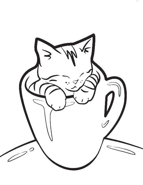 Coloring Kitten in a Cup. Category Cats and kittens. Tags:  animals, kitten, cat, mug.