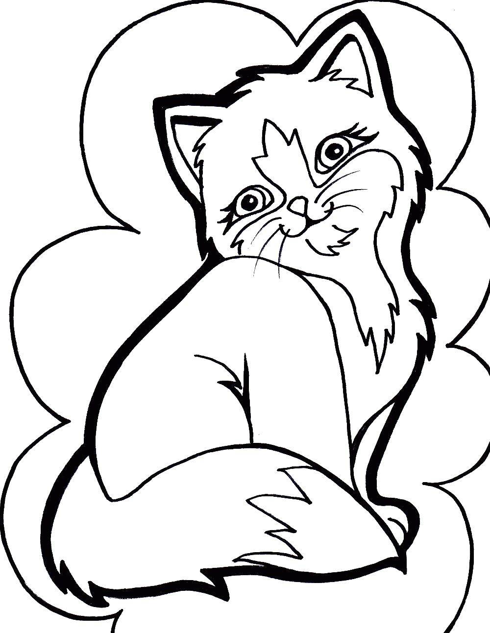 Coloring Cute kitty. Category Cats and kittens. Tags:  Animals, kitten.