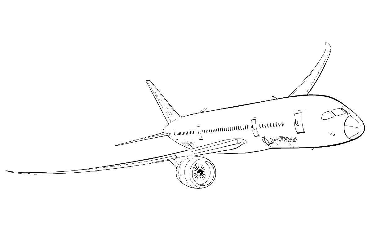 Название: Раскраска Пассажирский самолет. Категория: самолеты. Теги: самолет.