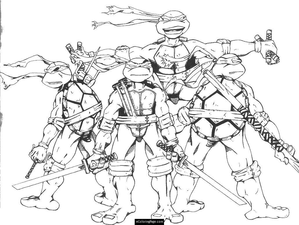 Coloring Teenage mutant ninja turtles. Category teenage mutant ninja turtles. Tags:  Comics, Teenage Mutant Ninja Turtles.