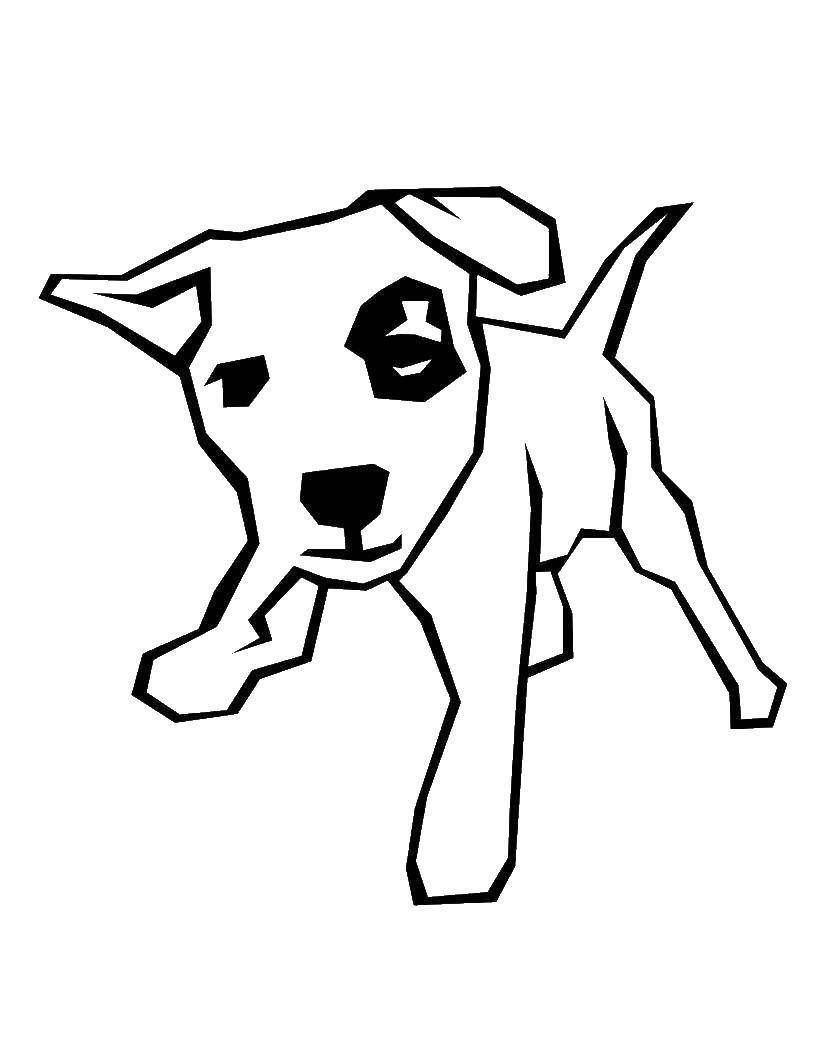Coloring The puppy with the spot. Category Pets allowed. Tags:  Animals, dog.