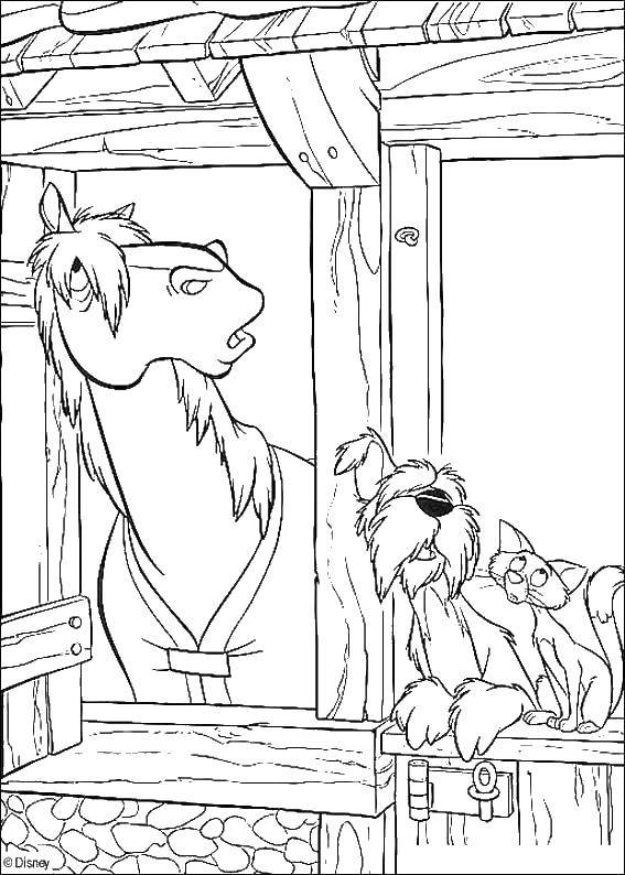 Coloring Horse, dog and cat. Category Pets allowed. Tags:  animals, horse, dog, cat.