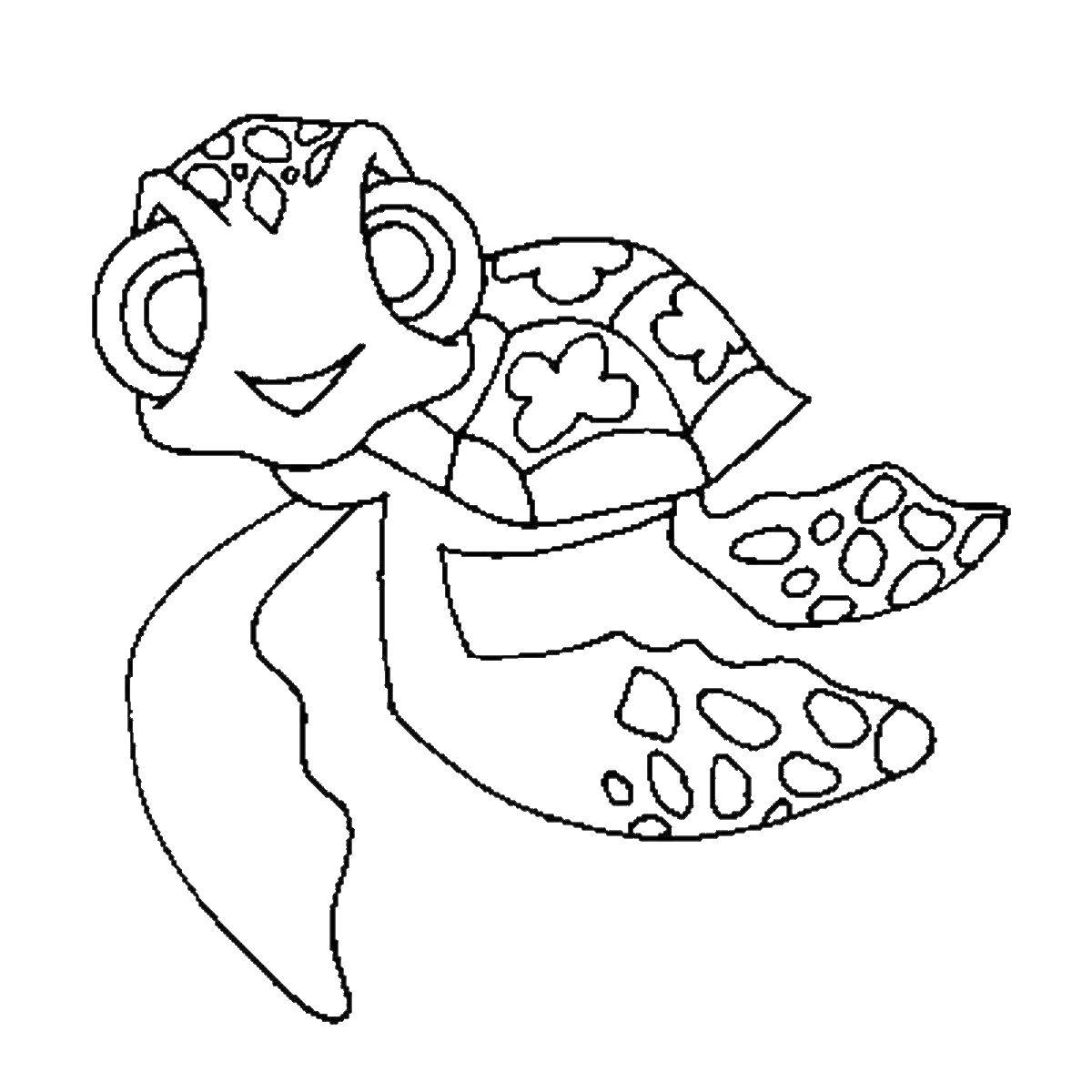 Название: Раскраска Морская черепаха. Категория: череп. Теги: морская, черепаха.