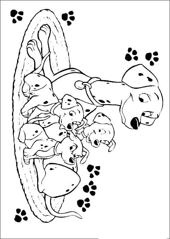 Coloring Dog with puppies. Category Pets allowed. Tags:  animals, dog, puppies.