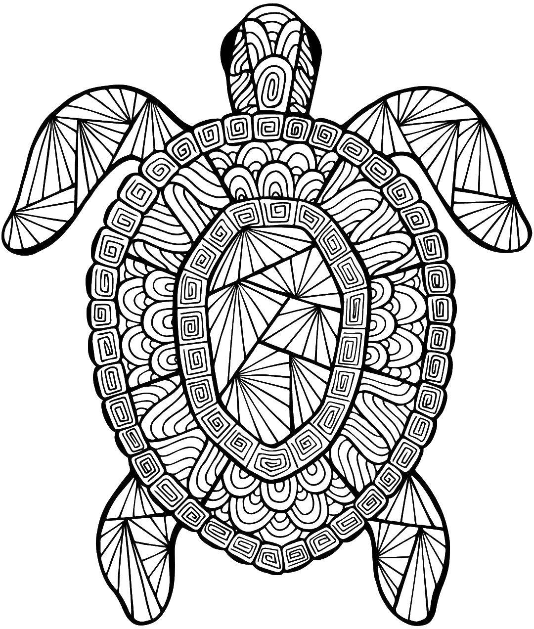Coloring Antistress, turtle. Category coloring antistress. Tags:  turtle, patterns, anti-stress.
