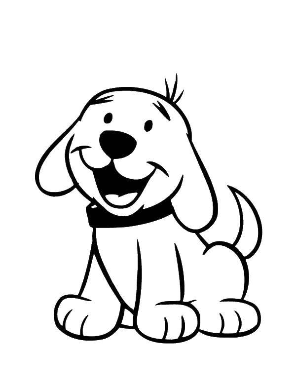 Название: Раскраска Радостная собака. Категория: домашние животные. Теги: собака.