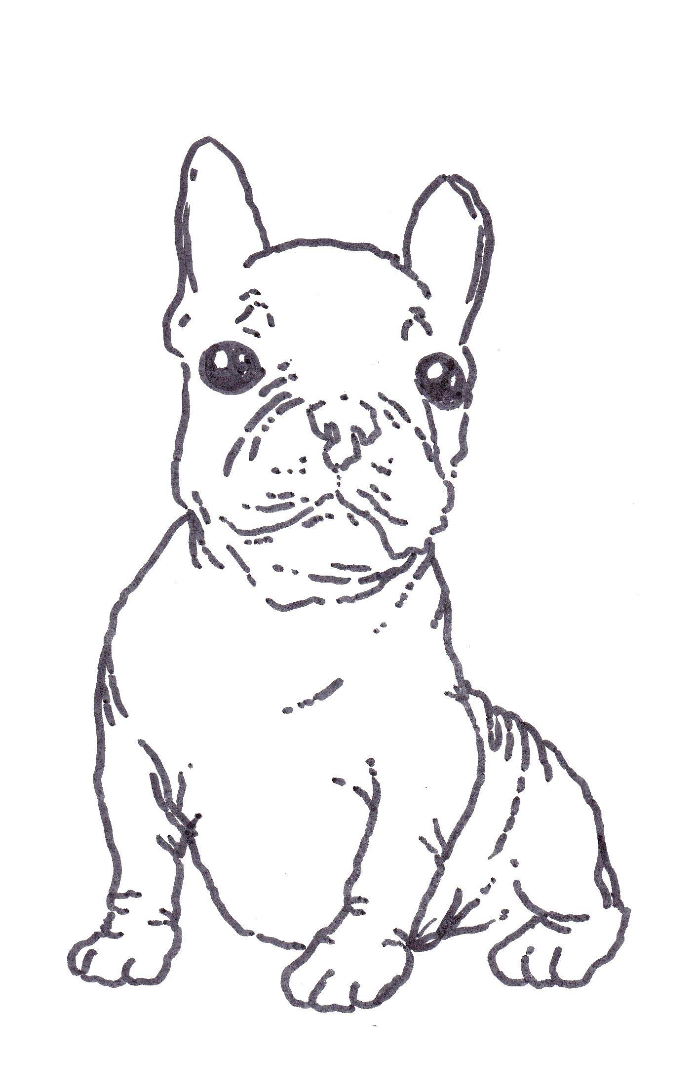 Coloring Bulldog. Category Pets allowed. Tags:  animals, dog, dog, bulldog.