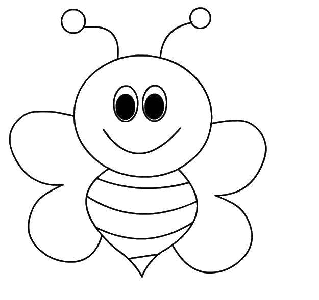 Название: Раскраска Пчелка. Категория: Насекомые. Теги: насекомые, пчела.