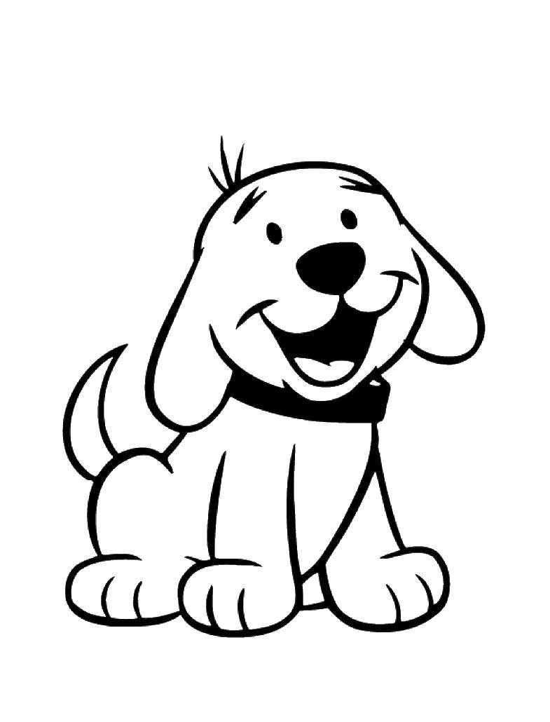 Название: Раскраска Радостная собака. Категория: домашние животные. Теги: собака.