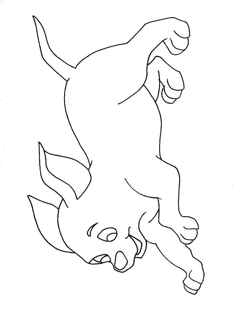 Coloring Running dog. Category Pets allowed. Tags:  animals, dog, puppy, dog.