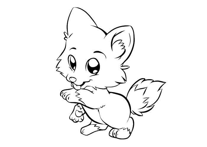 Coloring Little dog. Category Pets allowed. Tags:  animals, dog, puppy, dog.