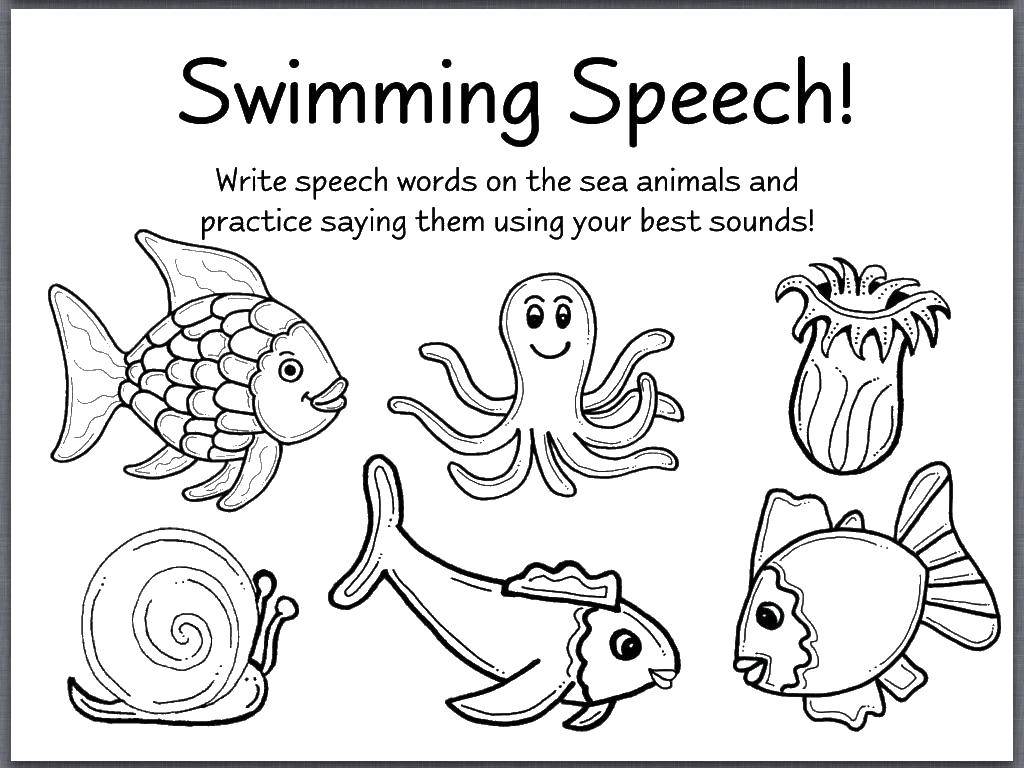 Название: Раскраска Морские животные. Категория: морские животные. Теги: рыбы, осьминог, медуза.