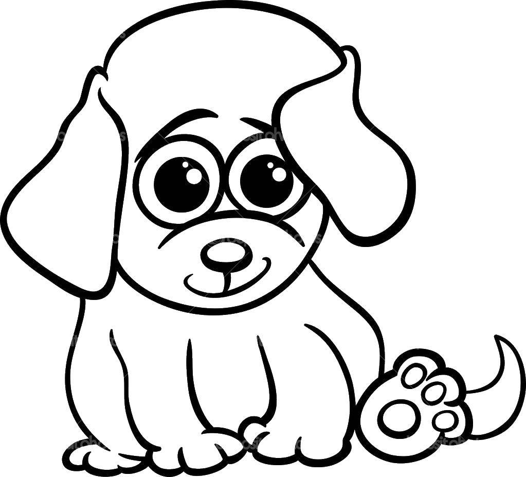 Coloring Puppy. Category Pets allowed. Tags:  puppy .