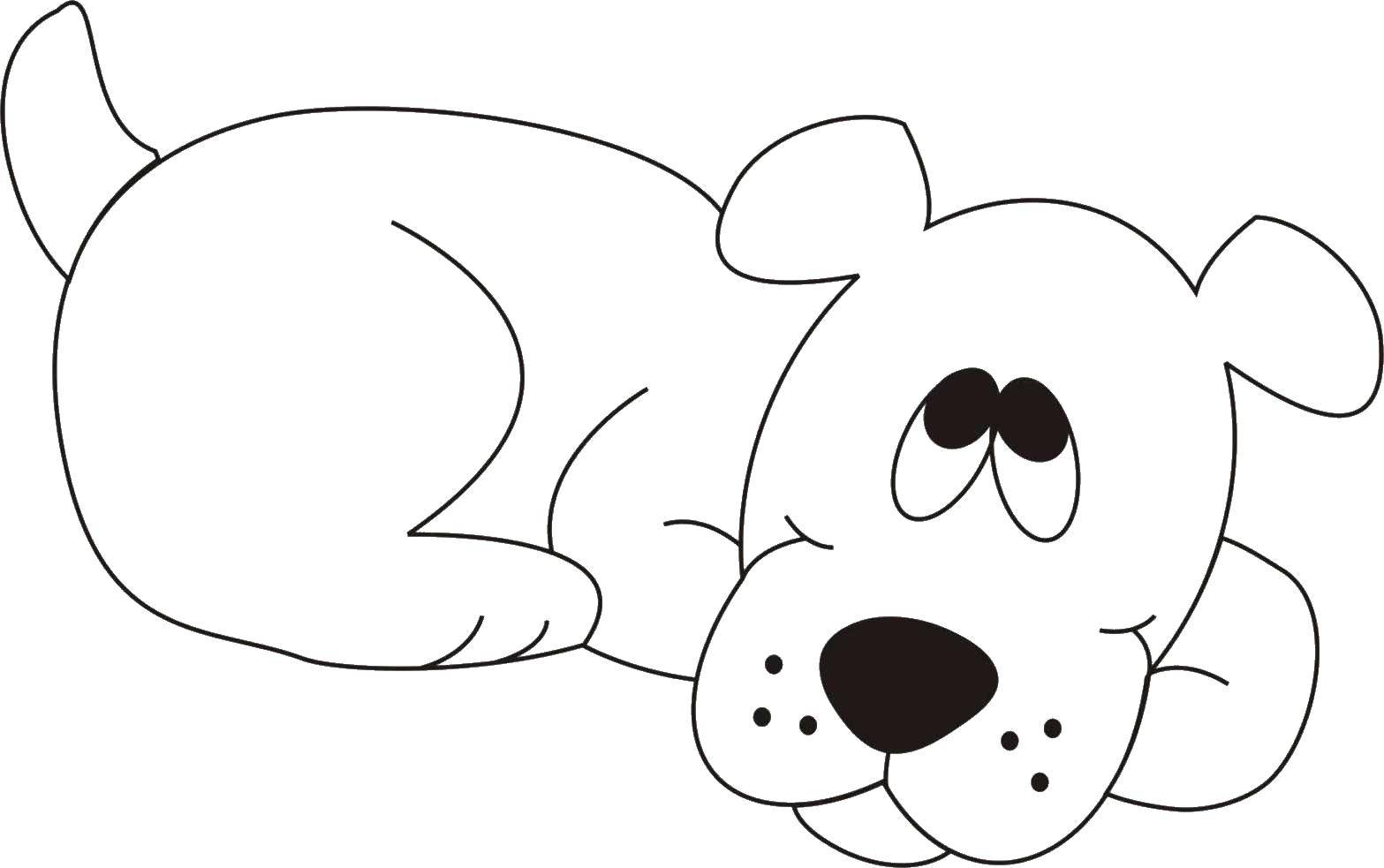 Coloring The dog lies. Category Pets allowed. Tags:  animals, dog, puppy, dog.