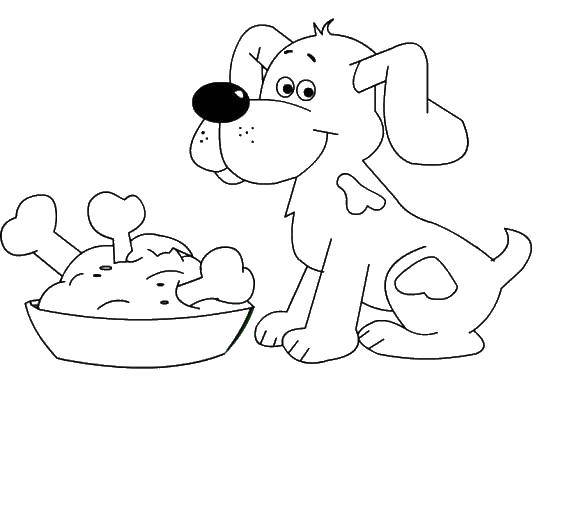 Coloring A dog before a meal. Category Pets allowed. Tags:  animals, dog, puppy, dog.