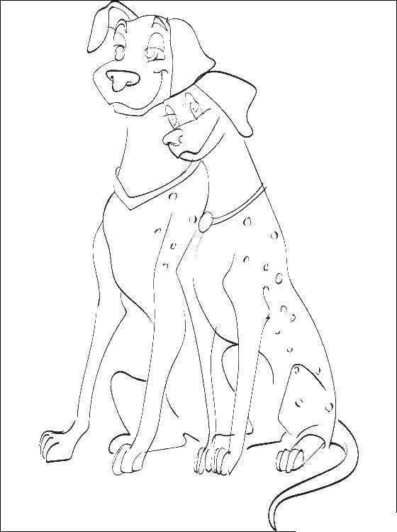 Coloring Dogs, pair. Category Pets allowed. Tags:  animals, dog, dog.