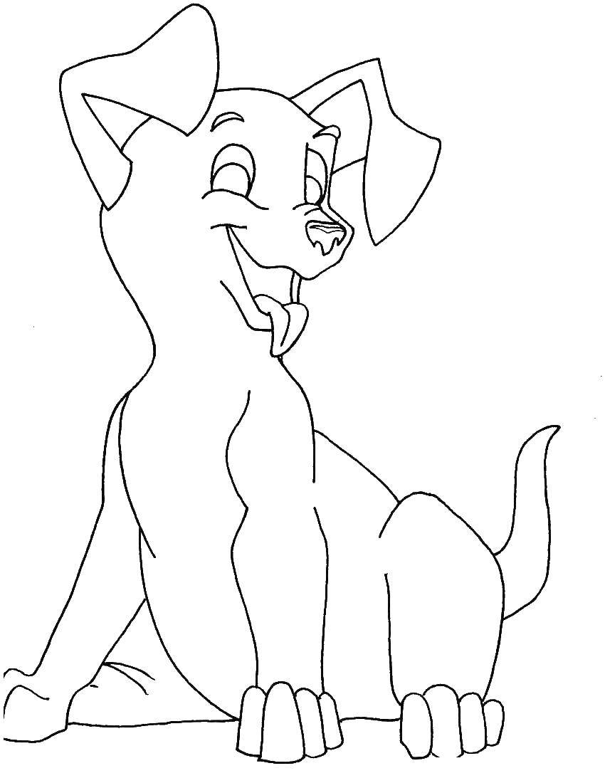 Coloring Cheerful dog. Category Pets allowed. Tags:  animals, dog, puppy, dog.