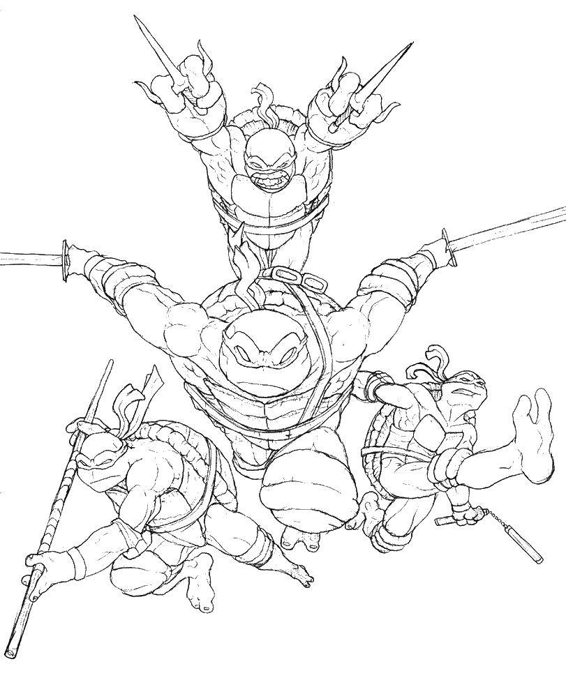 Coloring Teenage mutant ninja turtles. Category teenage mutant ninja turtles. Tags:  cartoon ninja turtles.