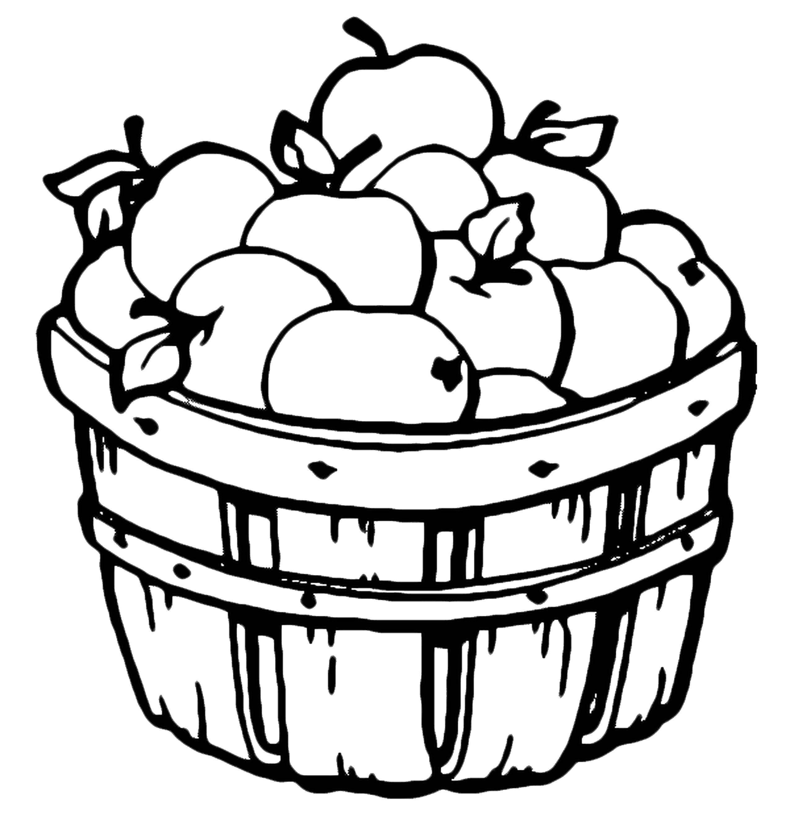 Coloring Basket with apples. Category fruits. Tags:  basket, fruit.