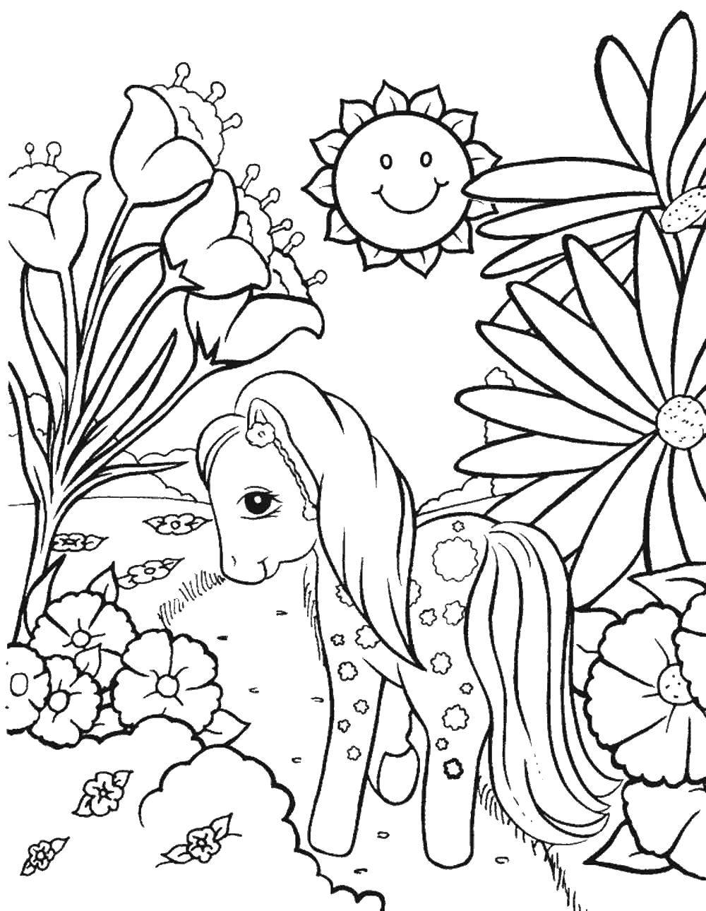 Coloring Pony among the flowers. Category Ponies. Tags:  pony, fairy tale, flowers, for girls.