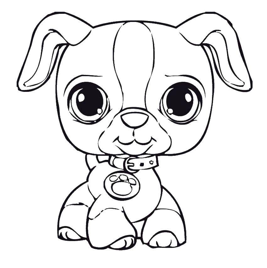 Coloring Puppy with collar. Category Pets allowed. Tags:  puppy .