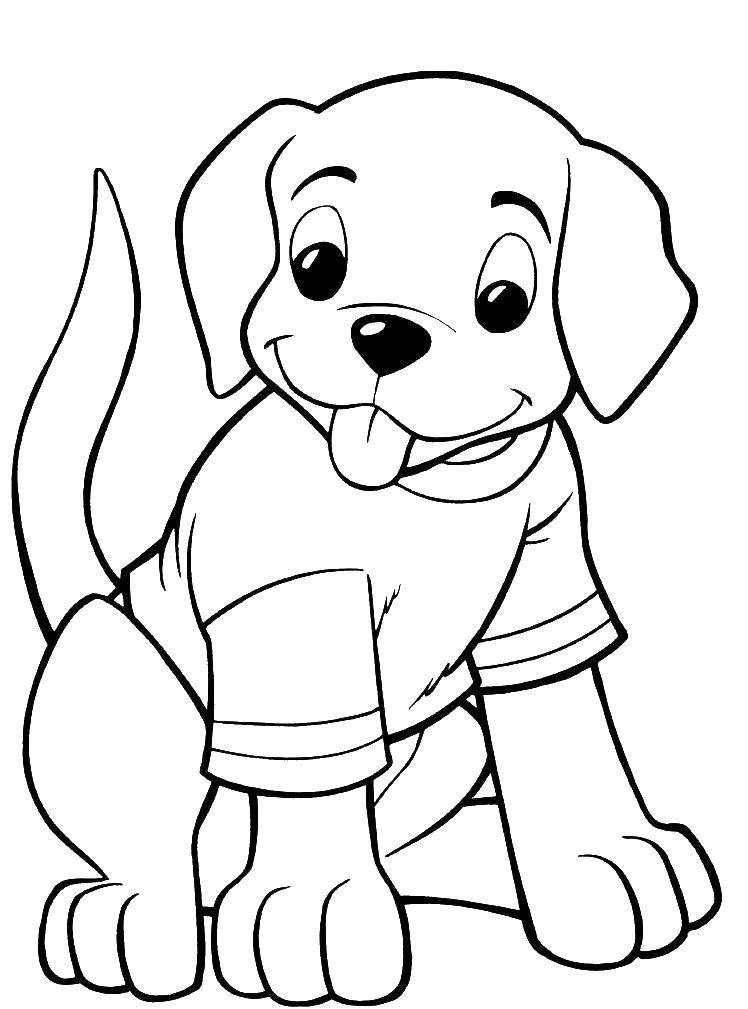 Coloring Dog t-shirt. Category Pets allowed. Tags:  the dog.